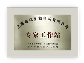 專家工作站